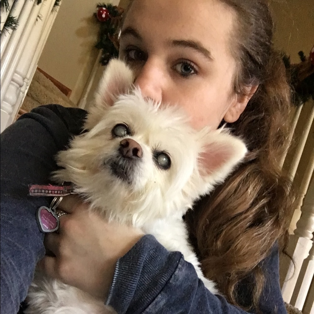 Meet your Posher, Holly